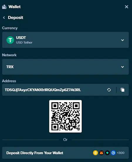 Deposit to the Stake Account