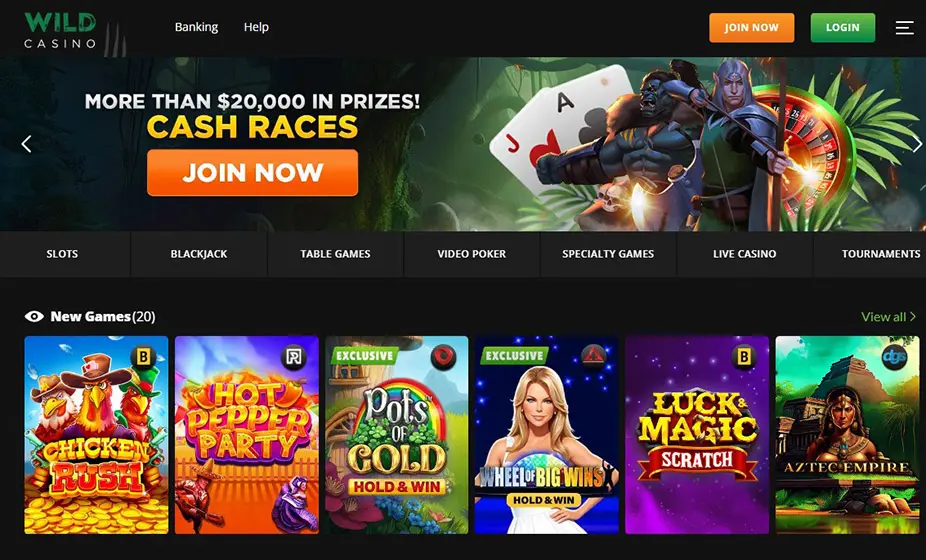 Wild Casino